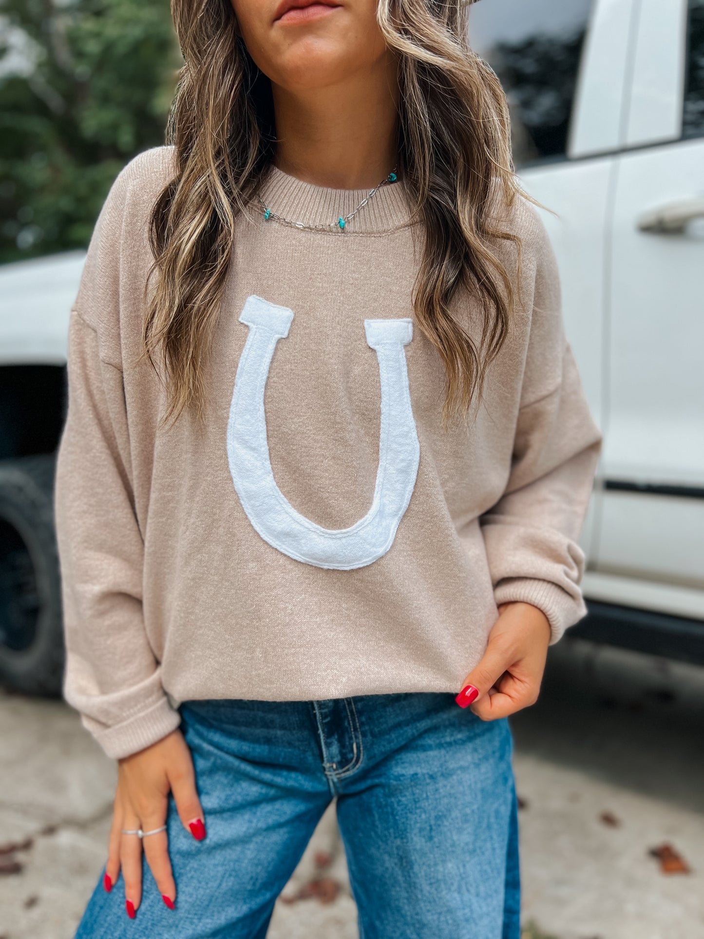 Horseshoe Sweater