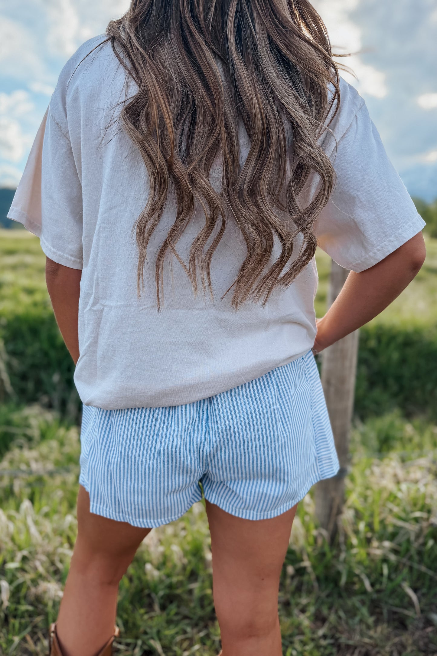 Blue Stripe Shorts