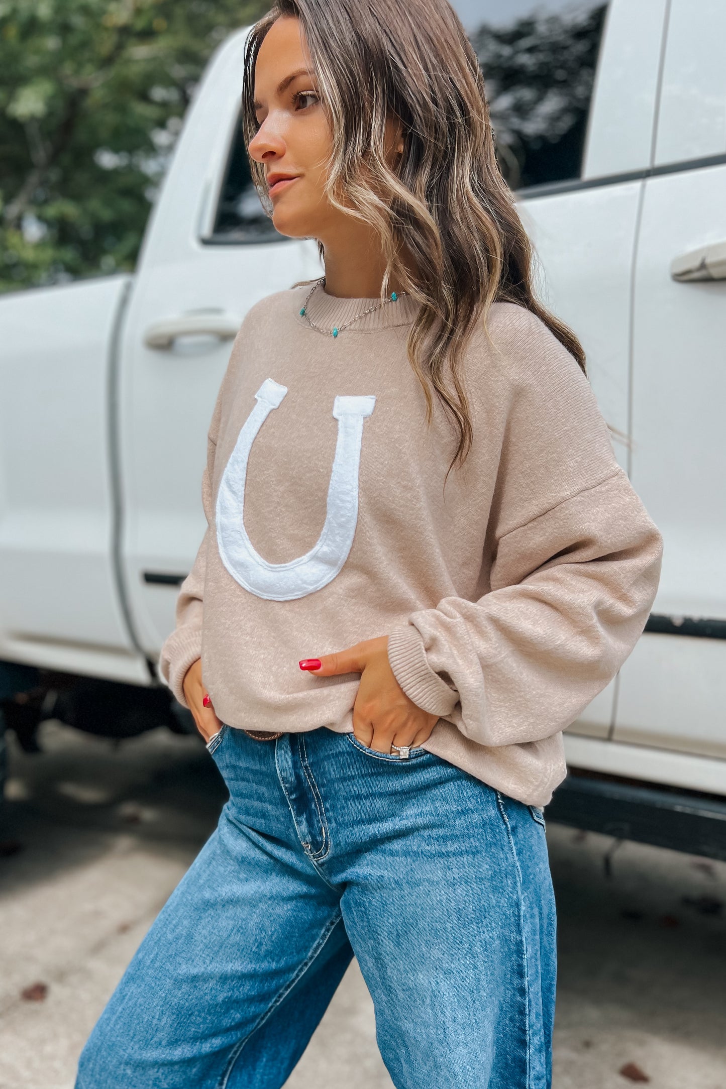 Horseshoe Sweater