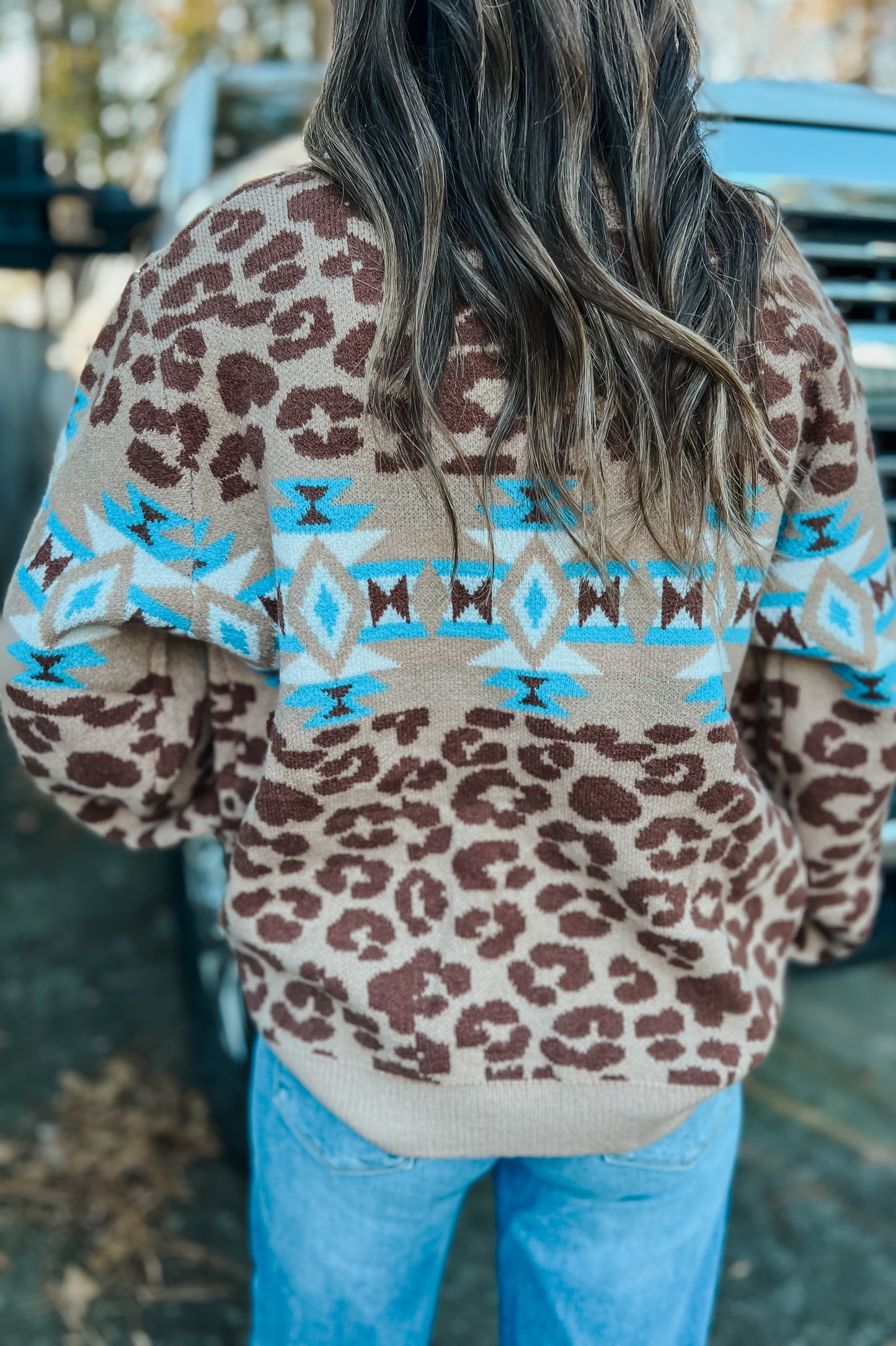 Mesa Leopard Sweater