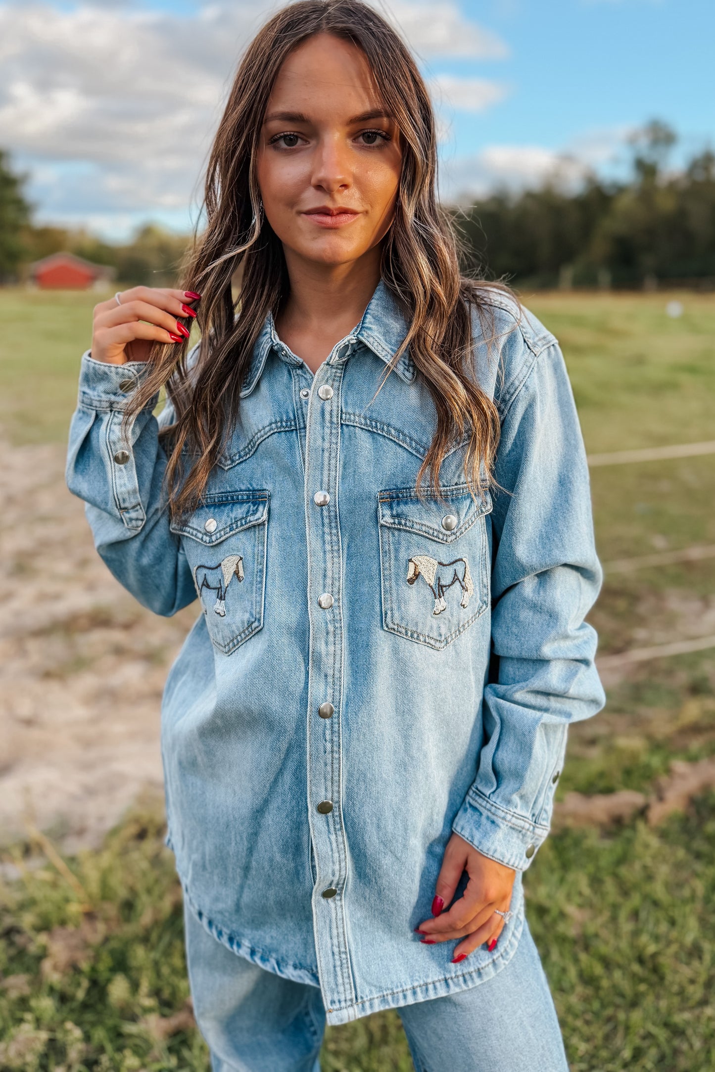 Pony Up Denim Top