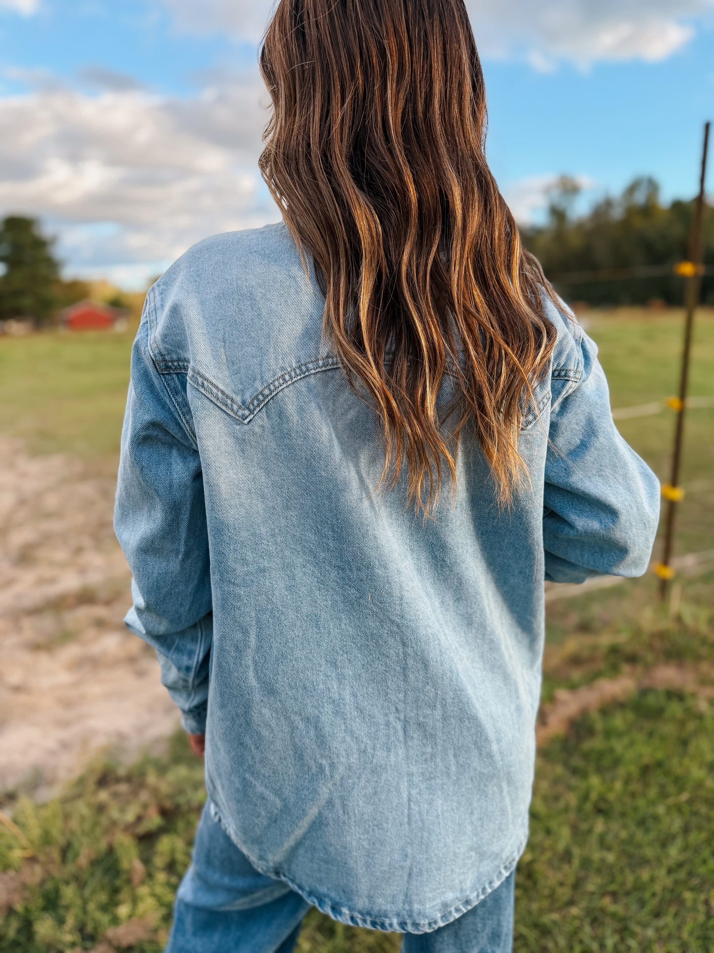 Pony Up Denim Top