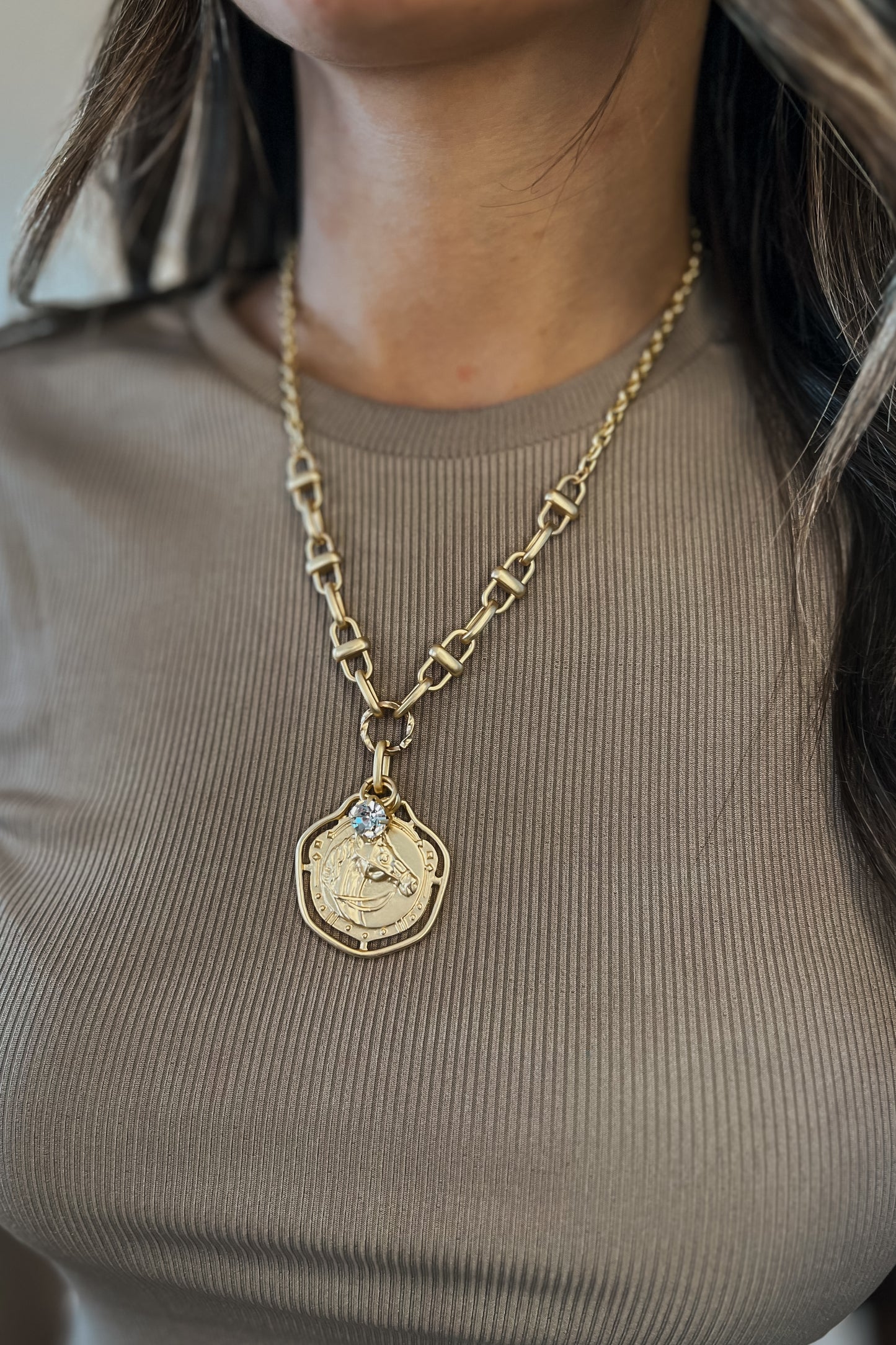 Matte gold chain necklace with a circle horse pendant