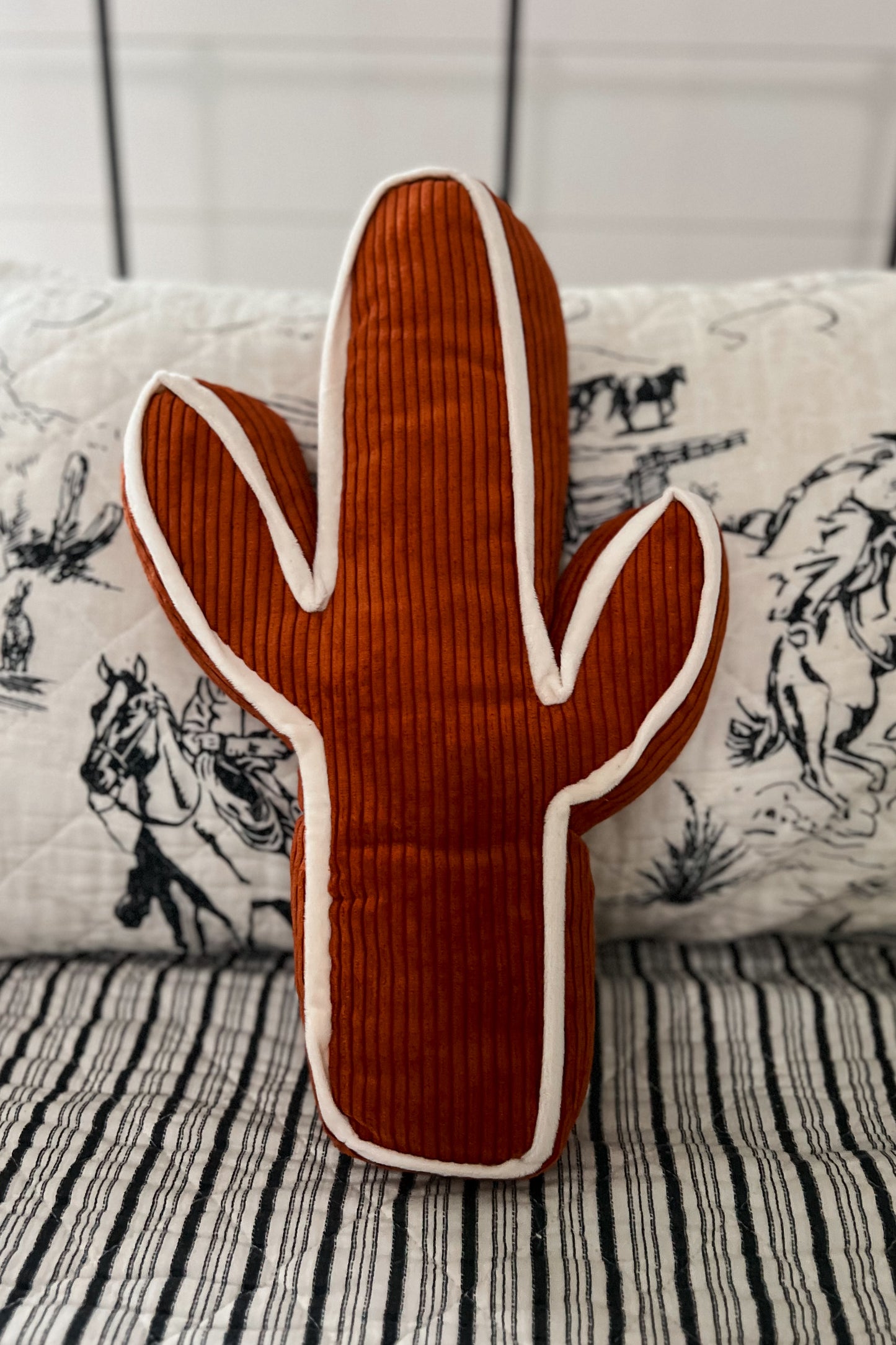 Kick a Cactus Pillows