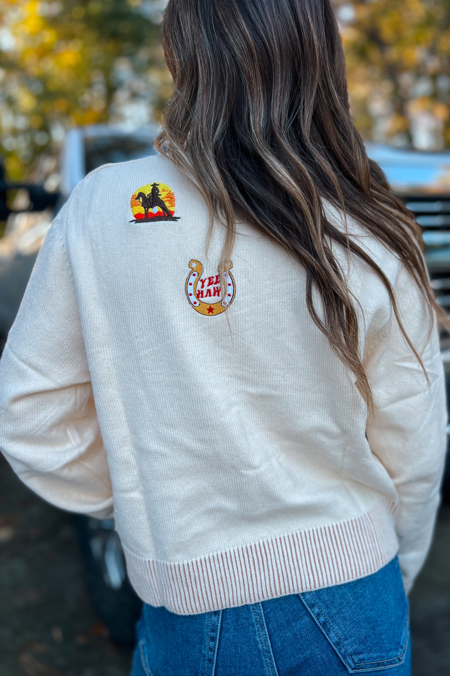 Western Patch Sweater