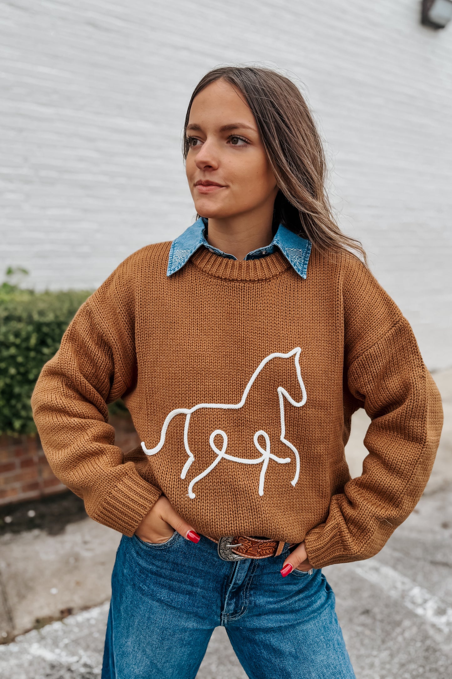 Horsin' Around Sweater