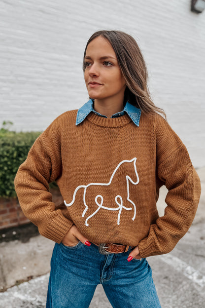 Horsin' Around Sweater