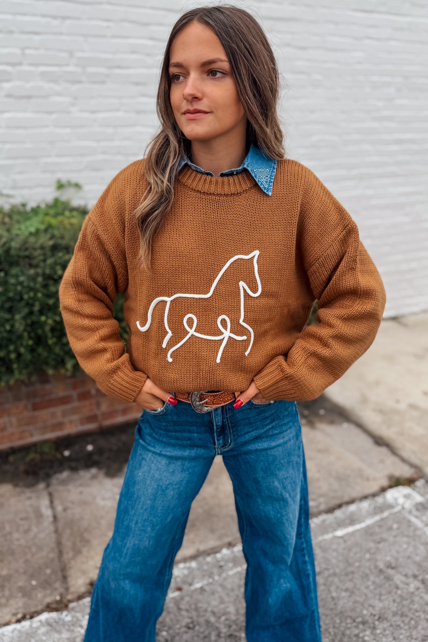 Horsin' Around Sweater