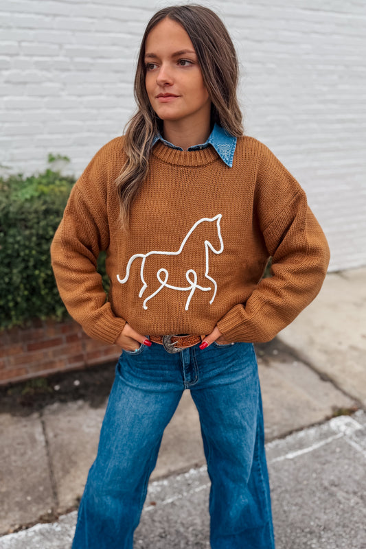 Horsin' Around Sweater