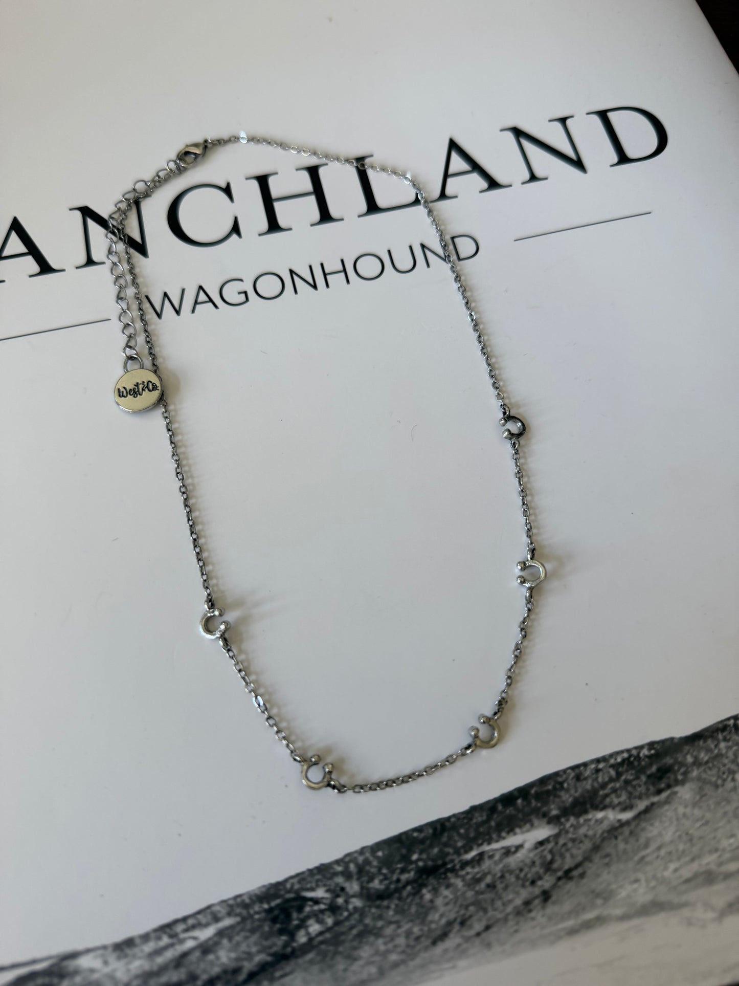 Dainty Horseshoe Necklace | Silver