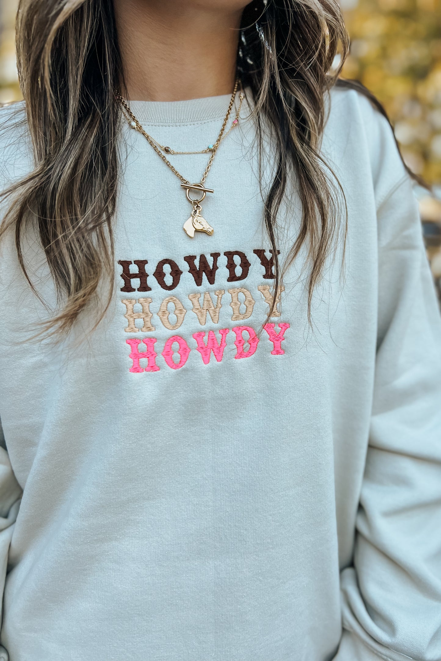Howdy Three Horizons Sweatshirt