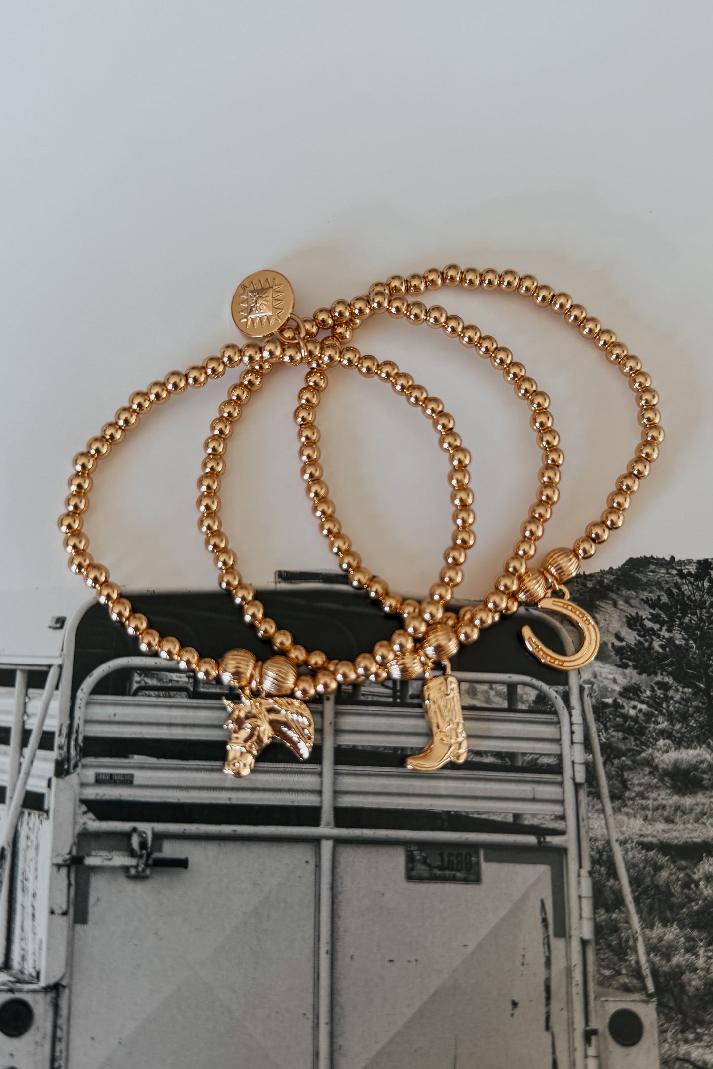 Lucky Trails Charm Bracelet Set