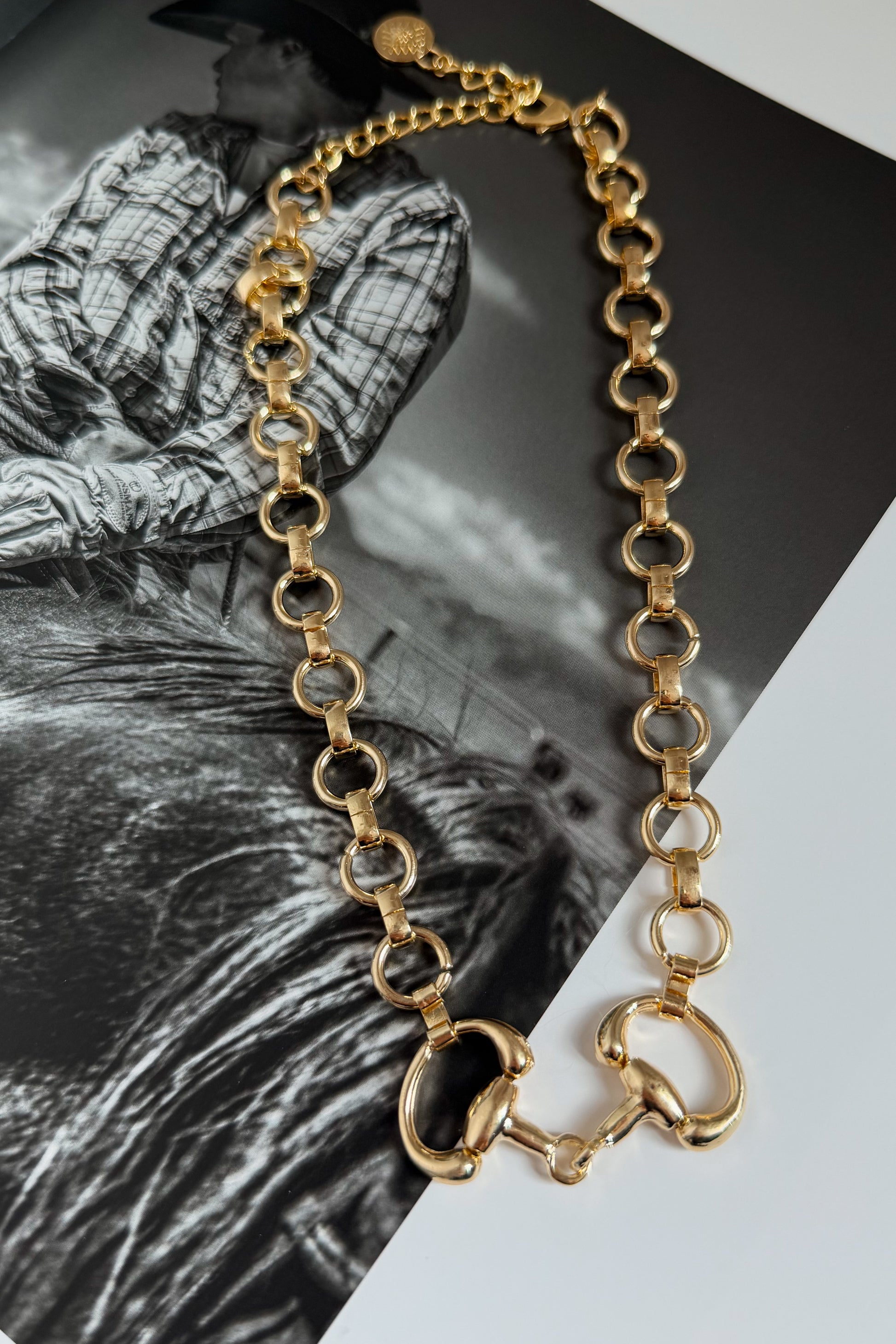 Chunky gold chain necklace featuring a western horse bit pendant detail. Designed with oversized chain links and a polished gold-tone finish for a bold statement look.