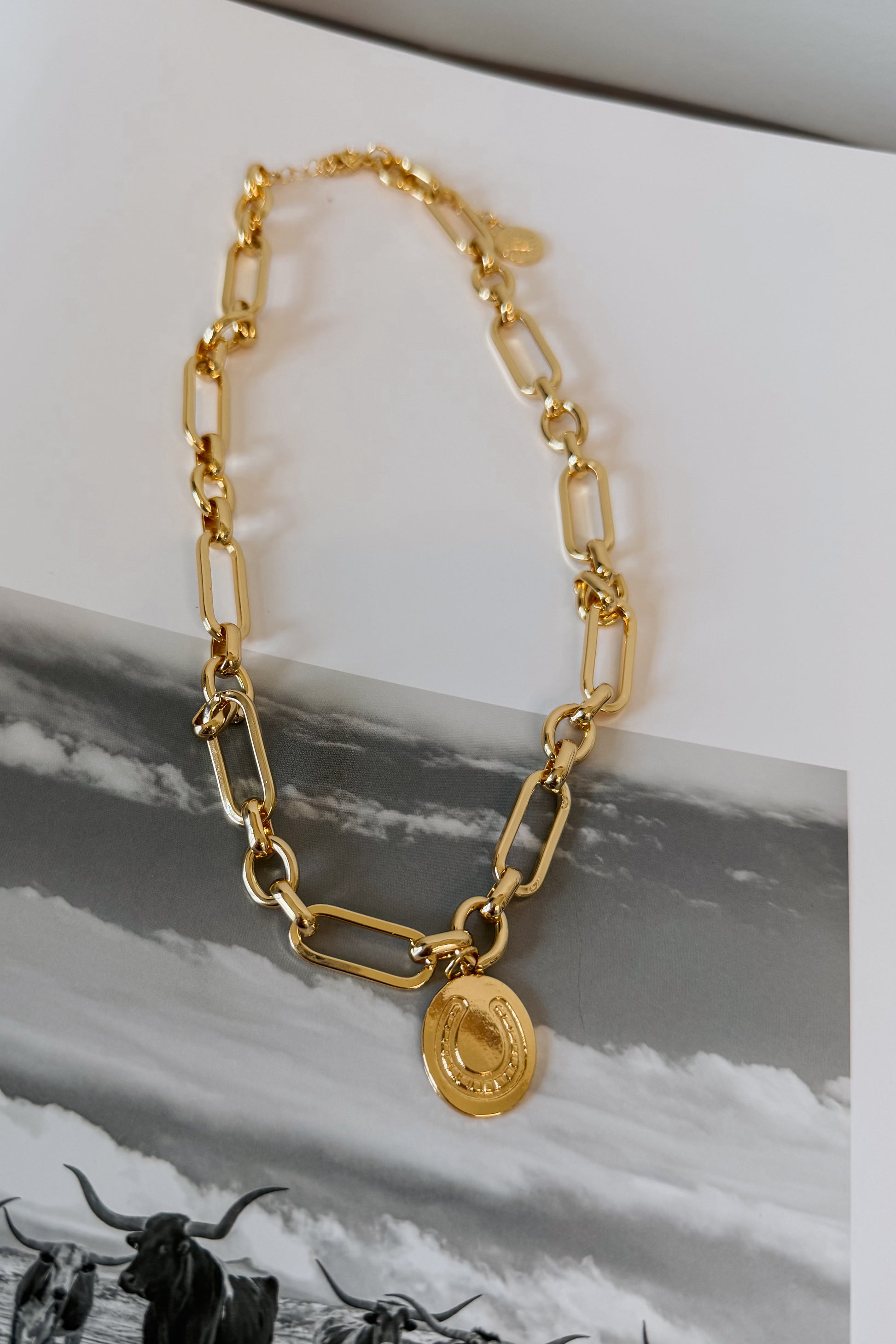 Gold-plated horseshoe pendant necklace on an 18-inch chain with horseshoe accent pendant.