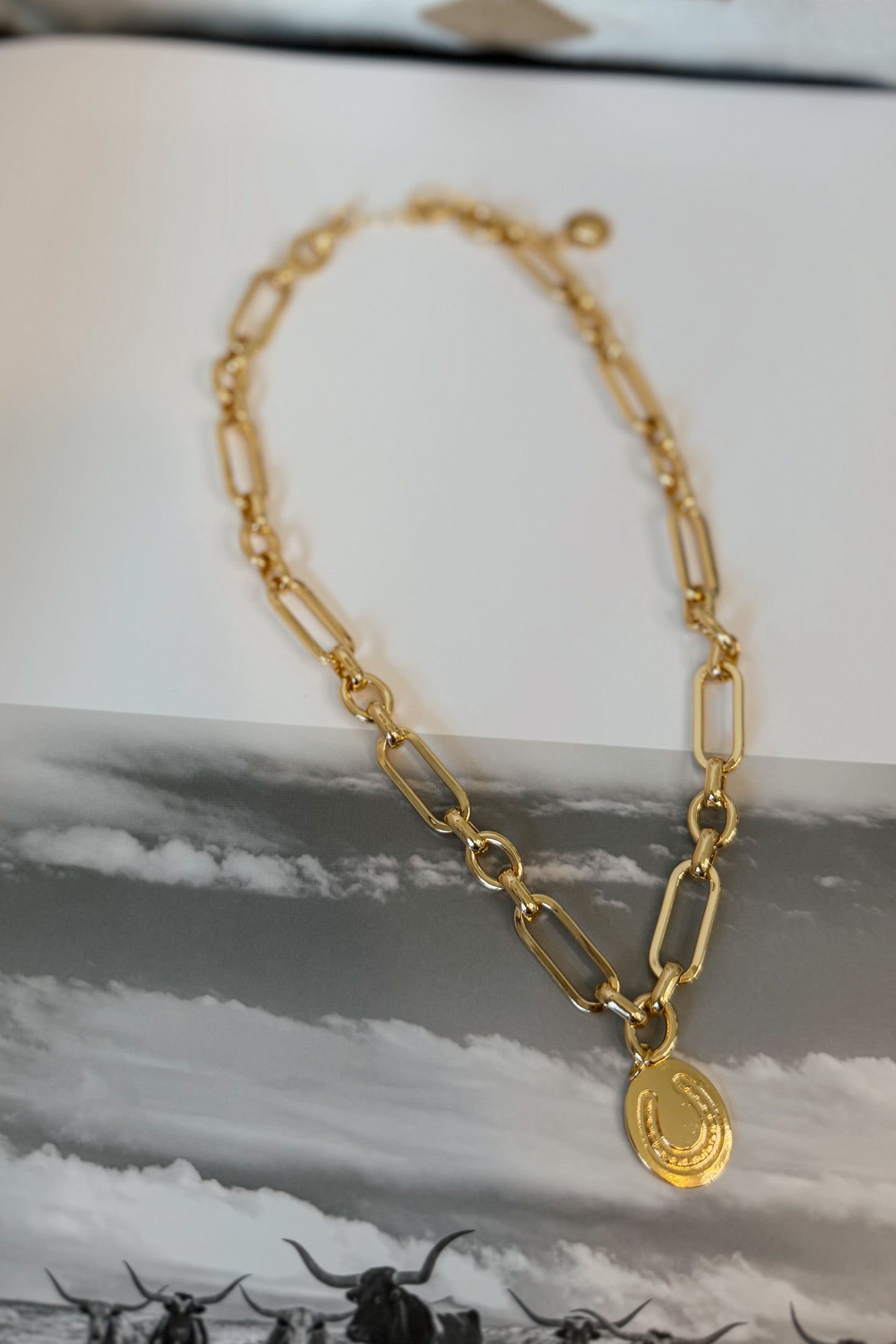Gold-plated horseshoe pendant necklace on an 18-inch chain with horseshoe accent pendant.