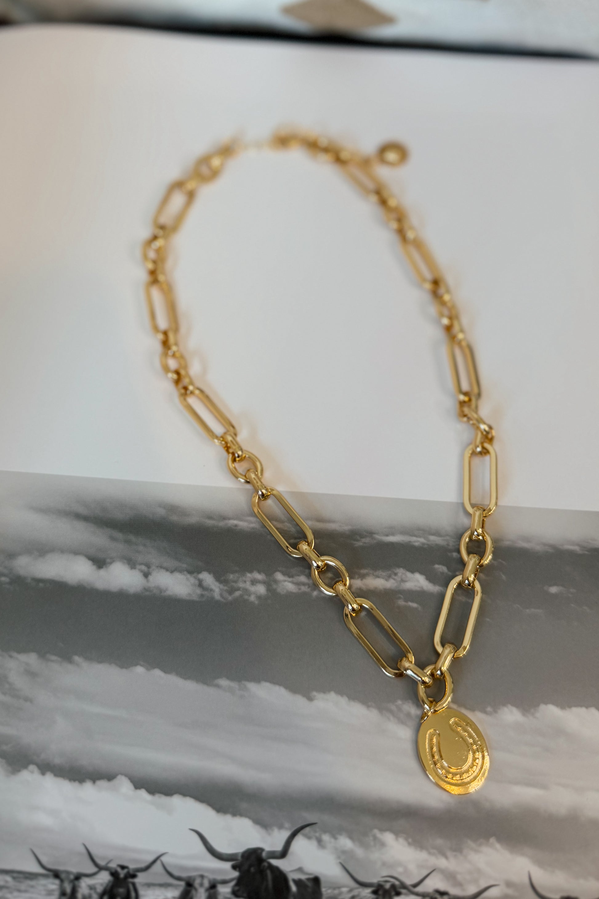 Gold-plated horseshoe pendant necklace on an 18-inch chain with horseshoe accent pendant.